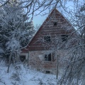 abandoned house in forest