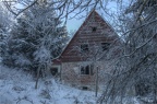 abandoned house in forest