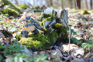 Wall-E and the old shoe