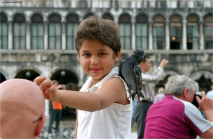 Der Junge mit der Taube