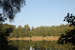 Großer See bei Harnekop